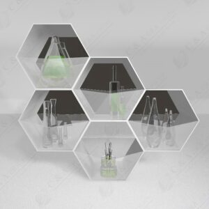 (D17) Hexagon Shelves